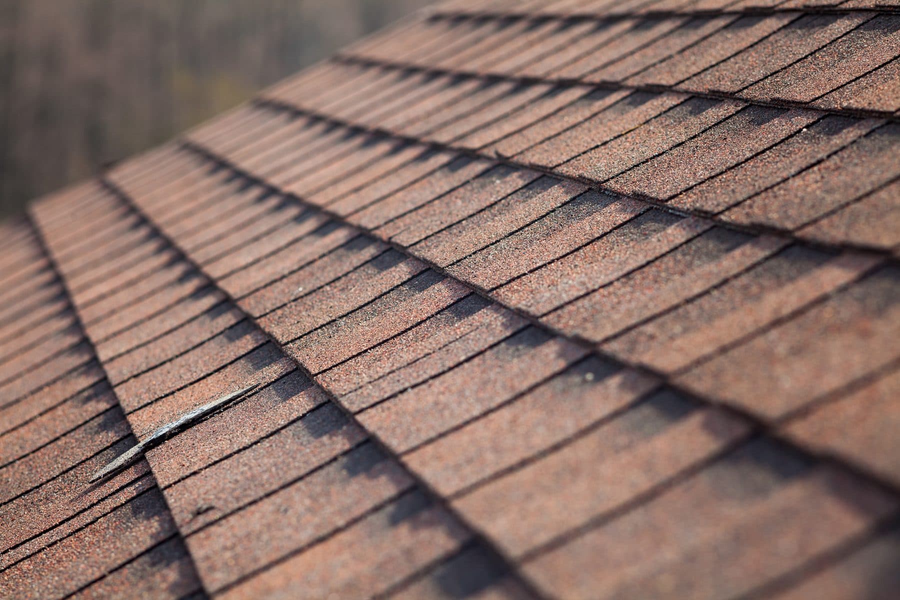 Close view of asphalt roof shingles